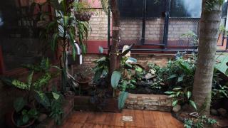 La Casona de Mabel - Puerto Iguazú - 8