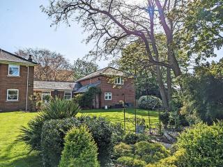 The Nest - Surfleet - 3