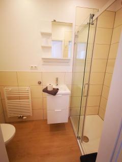 Ferienwohnung/Appartements Zwickau - Zwickau - 1