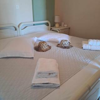 Lefkada Nikiana Two Bedroom Apartment - Nikiana - 7