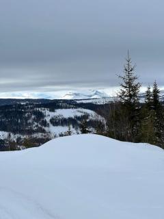 Hytte i naturskjønne Javnlie - Skammestein - 5