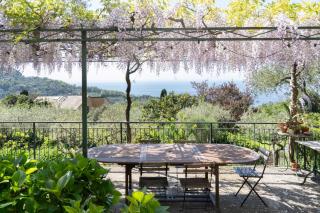 Uliveto - Camogli - 0
