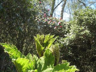 Briseis, maison d'architecte proche de la mer - 2