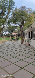 Girisadan Natures Retreat A Holistic Wellness Resort - 7