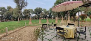 Girisadan Natures Retreat A Holistic Wellness Resort - 2