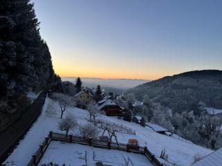 Ferienwohnung Alpenblick - Kleines Wiesental - 8