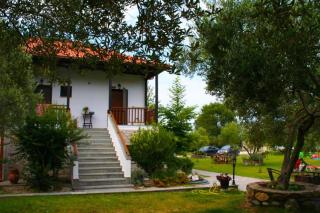 Dionysus Apartments & Suites - Ierissos - 3