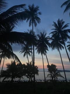 Lily's Beach Bungalows - 1