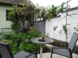 House with garden - 9