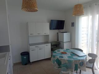 Appartement T3 en Corse, Marina di Bravone N131 - Linguizzetta - 7