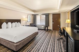 Best Western Coral Hills - St. George - 5