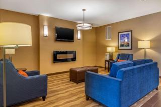 Comfort Suites San Antonio North - Stone Oak - San Antonio - 4