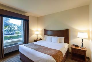 Comfort Suites San Antonio North - Stone Oak - San Antonio - 2