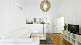 Heart of the city, entire very big apartment - Budapest - 1
