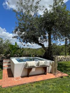 Casa Nova Vida - Paderne - 1