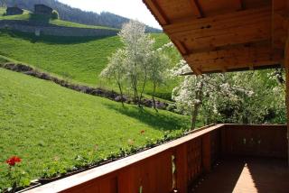 Blaserhof Hainzenberg - Hainzenberg - 6