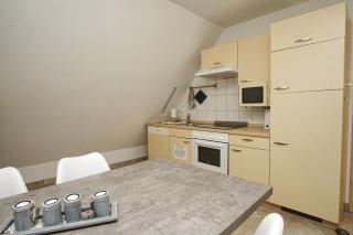 moderne FeWo Nr 4 mit Balkon, Sauna im Haus, Garten - Ferienwohnungen am Wald - Klein Gelm - 1