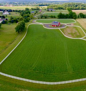 Chestnut Hills Farm - Flemington - 2