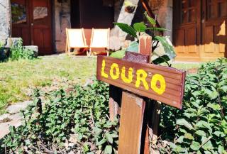 Casa Boletus - Castro Laboreiro - 7