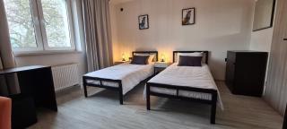 LOFT HOUSE - Skhidnitsa - 7