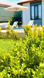 Begonvil Konaklama - 6