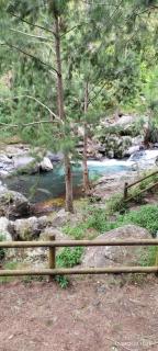Le chrisymalo - Cilaos - 4