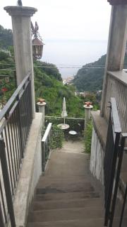 Pippo's Place - 3