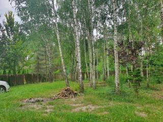 Domek letniskowy - Tręby Stare - 2