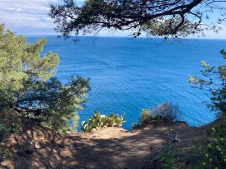 Petit paradis classé 3 étoiles à 200m de la plage! Terrasse-Wifi-Parking-clim - 0