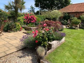 Coastal Hidden Gem - King size, ensuite room with garden - 5