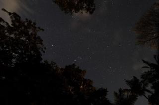 El Paraíso de María - 7