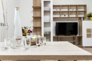 Spacious and cozy apartment with garden near Pula - 1