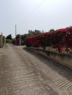 Villa Il Giardino di Rosa- 5 Min from the sea-Fraginesi - 6