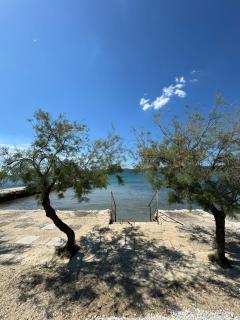 Mobile Home Agata - 1