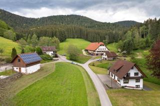Sulzerhof - Bad Rippoldsau-Schapbach - 7