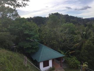 D view hill hotel - Kuala Tahan - 1