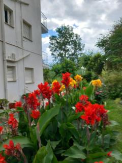 mourkos-apartments - Kryonéri - 3