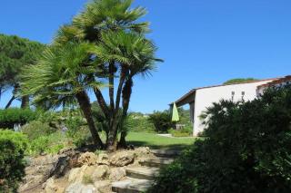 Villa Perdrix - Grimaud - 7