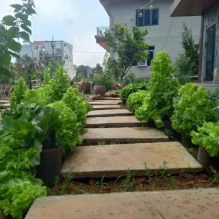 mộc châu homestay - Làng Môn - 7