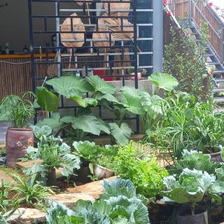 mộc châu homestay - Làng Môn - 9