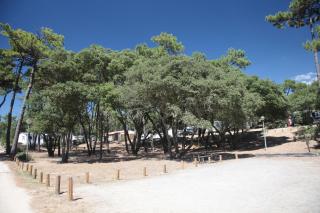 La Plage de Riez - 5