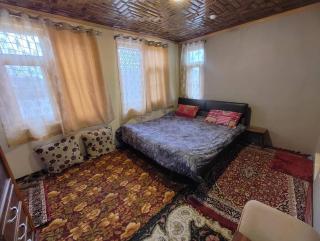 Green House with kitchen - Srinagar - 4