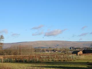 Luham Cottage - Penrith - 8