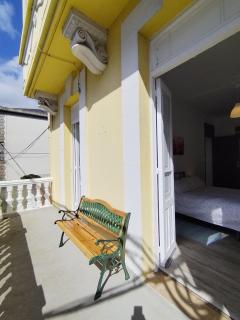 Yellow House - Viveiro - 3