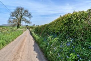 Finest Retreats - Cutkieve Farm Cottage - 5