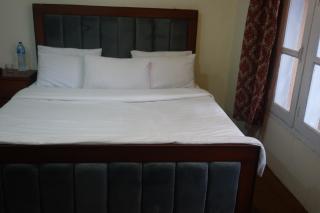 Alpen Hotel Skardu - Skardu - 8