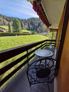 Appartement moderne et confortable à Villars - Villars-sur-Ollon - 4