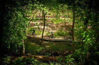 Trailhead Mews Flow Unit 3 DT Bentonville MTB - Bentonville - 8