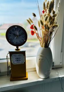 Lous Ferienhaus 2 - Thale - 1