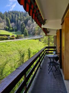 Appartement moderne et confortable à Villars - Villars-sur-Ollon - 9